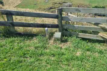194E Pekanui Road, Pirongia