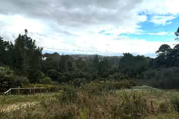 244 Albany Heights Road, Albany Heights