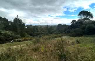 244 Albany Heights Road, Albany Heights