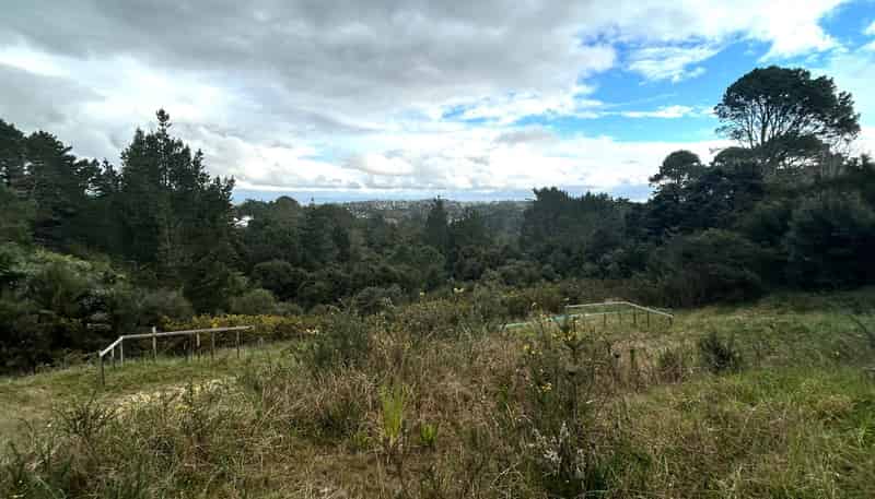 244 Albany Heights Road, Albany Heights
