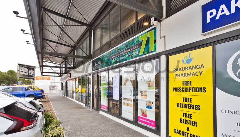 Unit 22/71 Jellicoe Road, Panmure