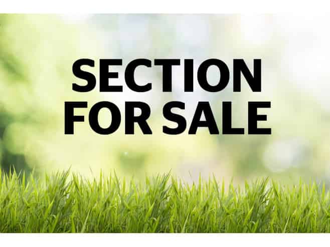 Auckland - Address withheld