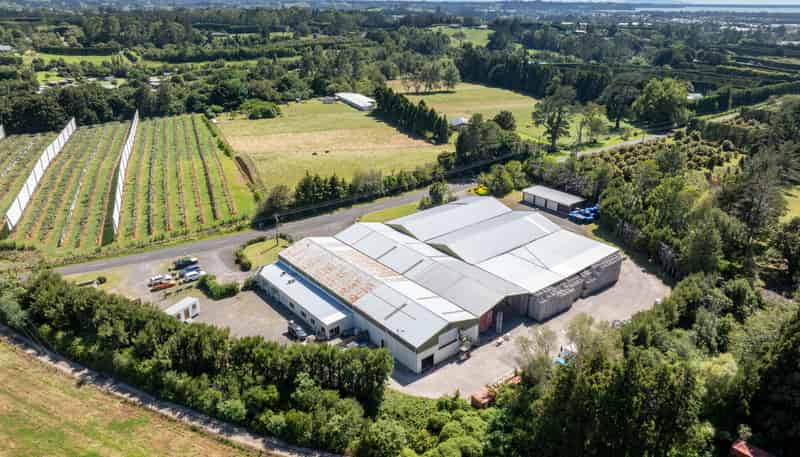153 Rea Road, Katikati