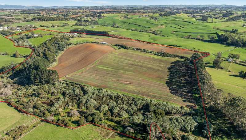 156A Schlaepfer Road, Pukekohe