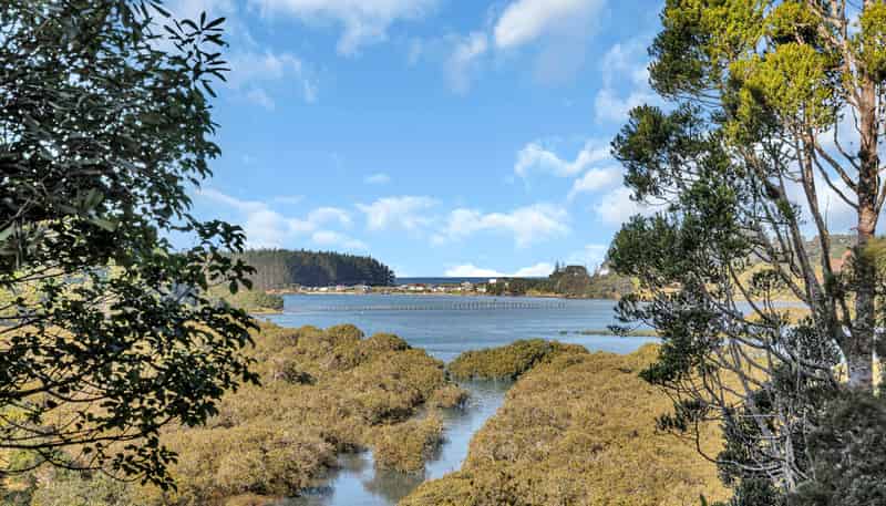 2044 Whananaki North Road, Whananaki