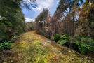 61B Beechwater Drive, Moana / Lake Brunner, Grey, West Coast