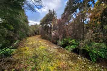 61B Beechwater Drive, Arnold Valley