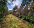 61B Beechwater Drive, Moana / Lake Brunner, Grey, West Coast
