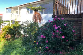 100 John Downs Drive, Browns Bay