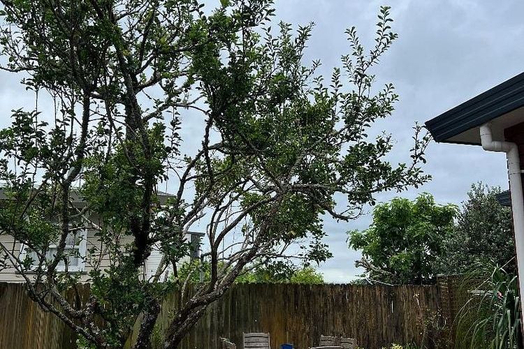 3 bedroom -  Northcote - Vista 3