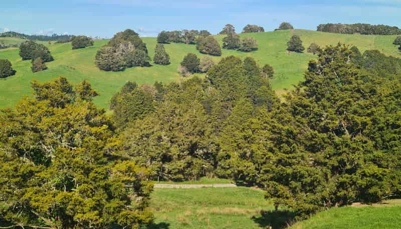 Wairere Road, Maungaturoto