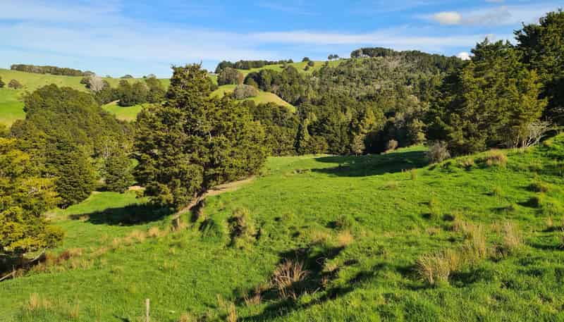  Wairere Road, Maungaturoto