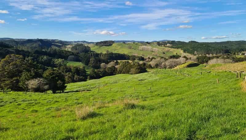  Wairere Road, Maungaturoto