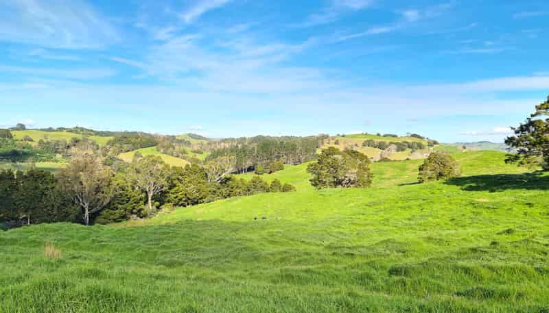  Wairere Road, Maungaturoto