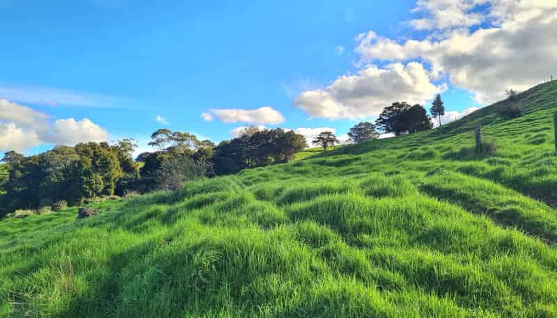  Wairere Road, Maungaturoto