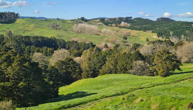  Wairere Road, Maungaturoto