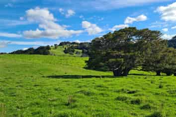  Wairere Road, Maungaturoto