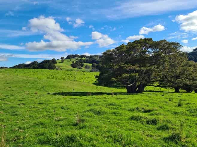  Wairere Road, Maungaturoto