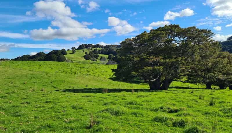  Wairere Road, Maungaturoto