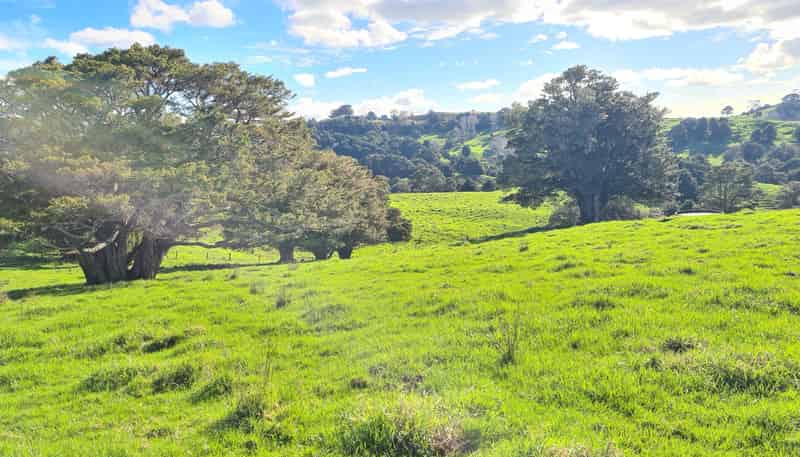  Wairere Road, Maungaturoto
