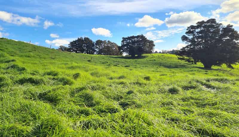  Wairere Road, Maungaturoto