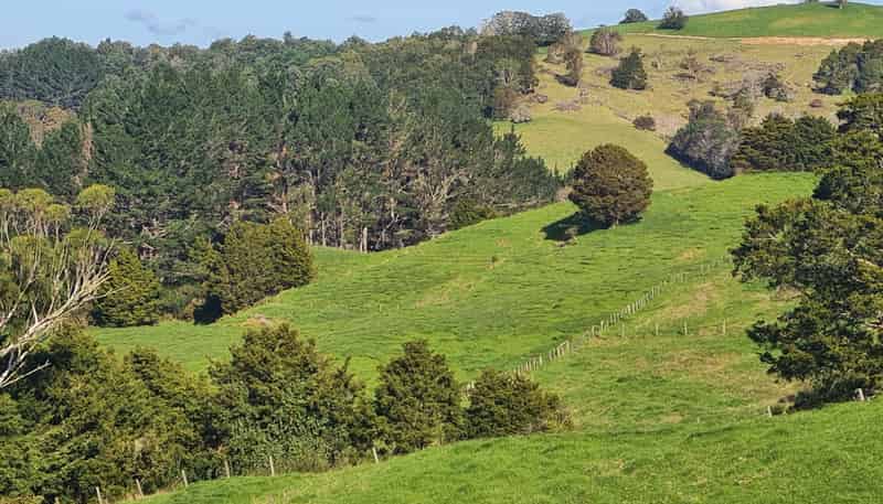  Wairere Road, Maungaturoto