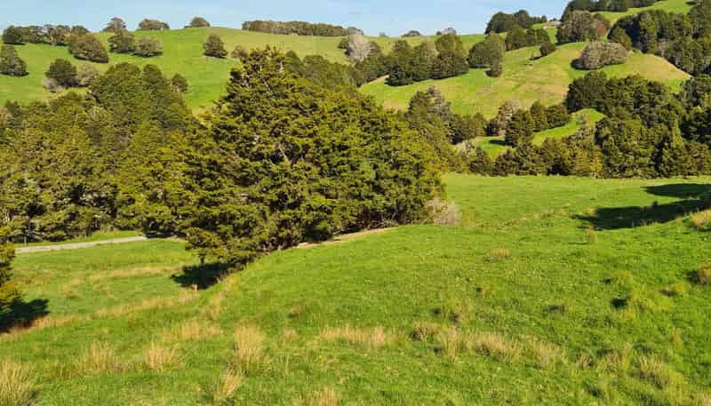  Wairere Road, Maungaturoto