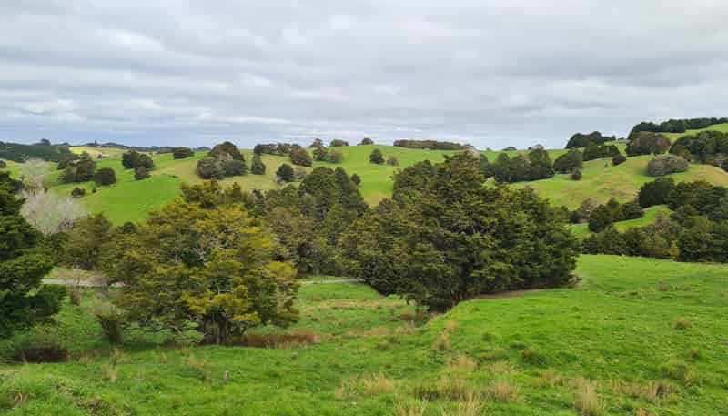  Wairere Road, Maungaturoto