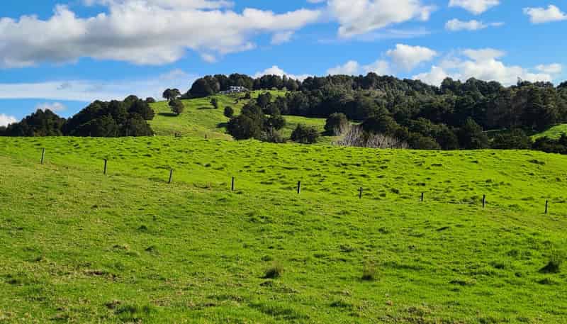  Wairere Road, Maungaturoto