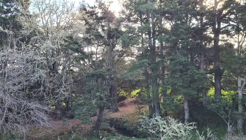  Wairere Road, Maungaturoto