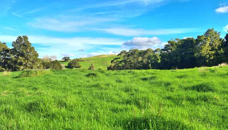  Wairere Road, Maungaturoto