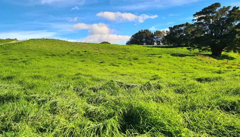  Wairere Road, Maungaturoto
