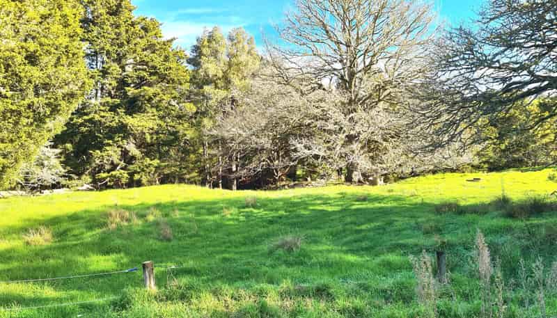  Wairere Road, Maungaturoto