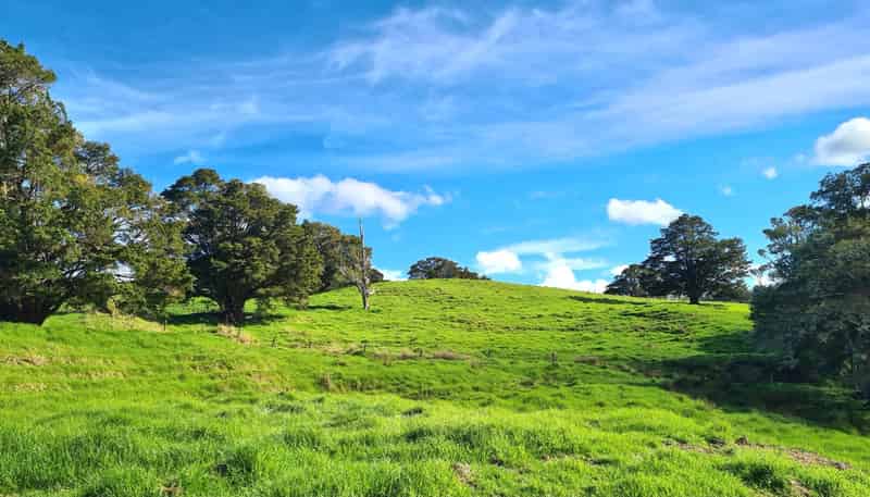 Wairere Road, Maungaturoto