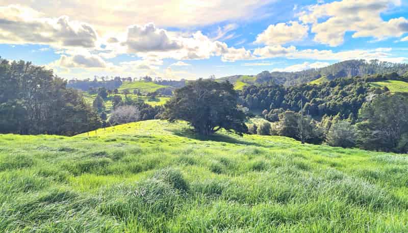  Wairere Road, Maungaturoto
