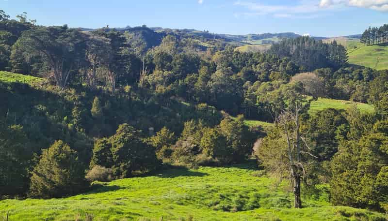  Wairere Road, Maungaturoto