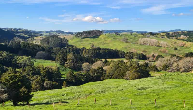 Wairere Road, Maungaturoto
