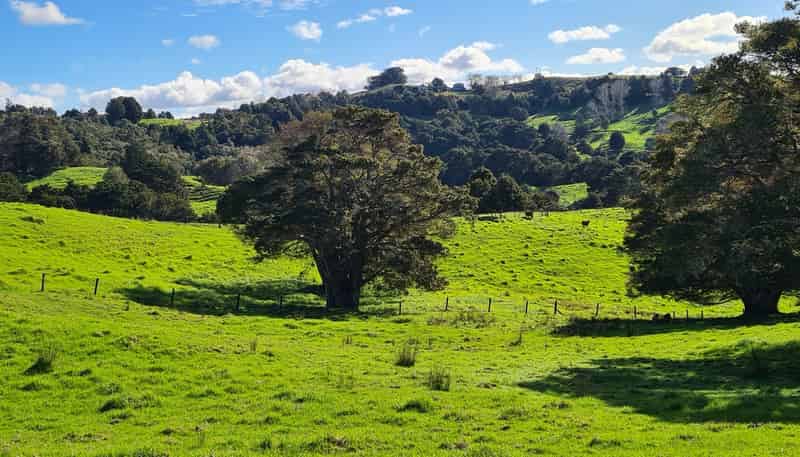  Wairere Road, Maungaturoto