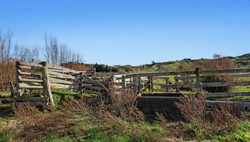  Waiotahe Valley Road, Waiotahi
