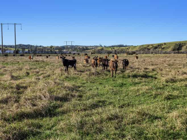  Waiotahe Valley Road, Waiotahi
