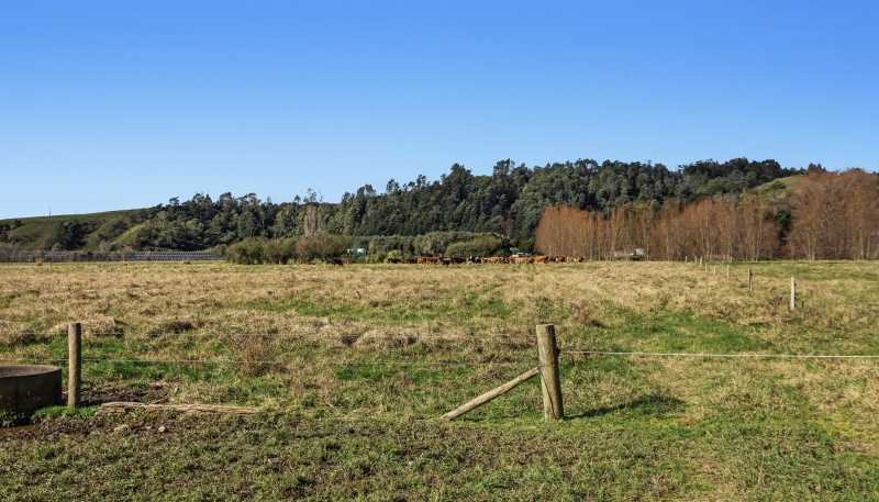  Waiotahe Valley Road, Waiotahi