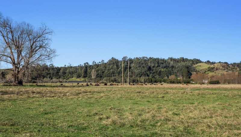  Waiotahe Valley Road, Waiotahi
