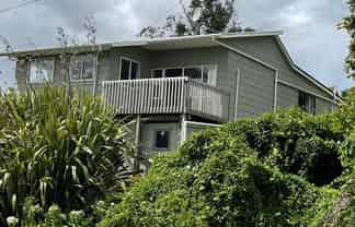 12 Robert Avenue, Pukemiro
