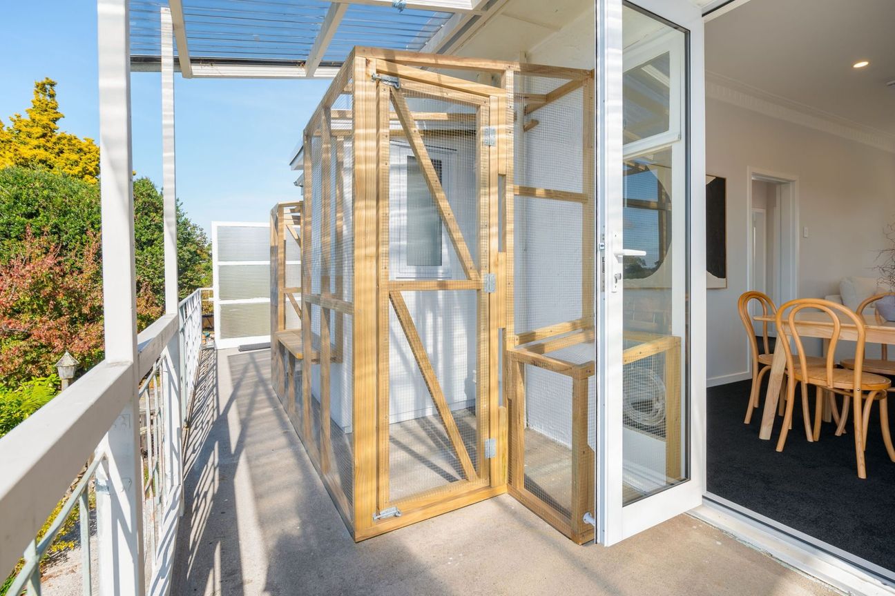 87 Pembroke Street, Hamilton Lake - Ansicht 5