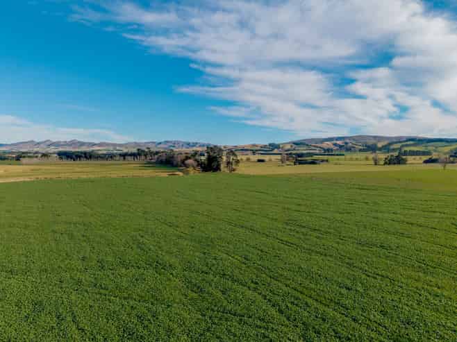 238, 314 a Glenmark Drive, Waipara