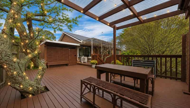 64B Frederick Street, Hillsborough