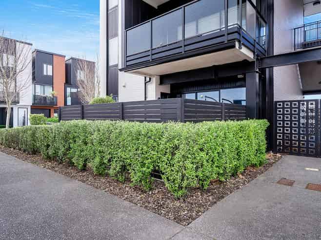 3/182 London Street, Hamilton Central