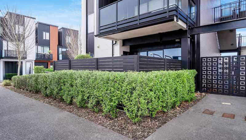 3/182 London Street, Hamilton Central