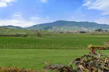 3090A Cambridge Road, Rotoorangi