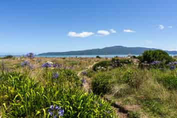 95 Manly Street, Paraparaumu Beach